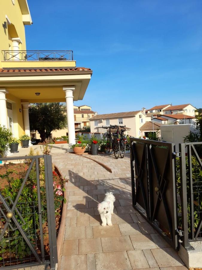 Villa Istriana Ližnjan المظهر الخارجي الصورة