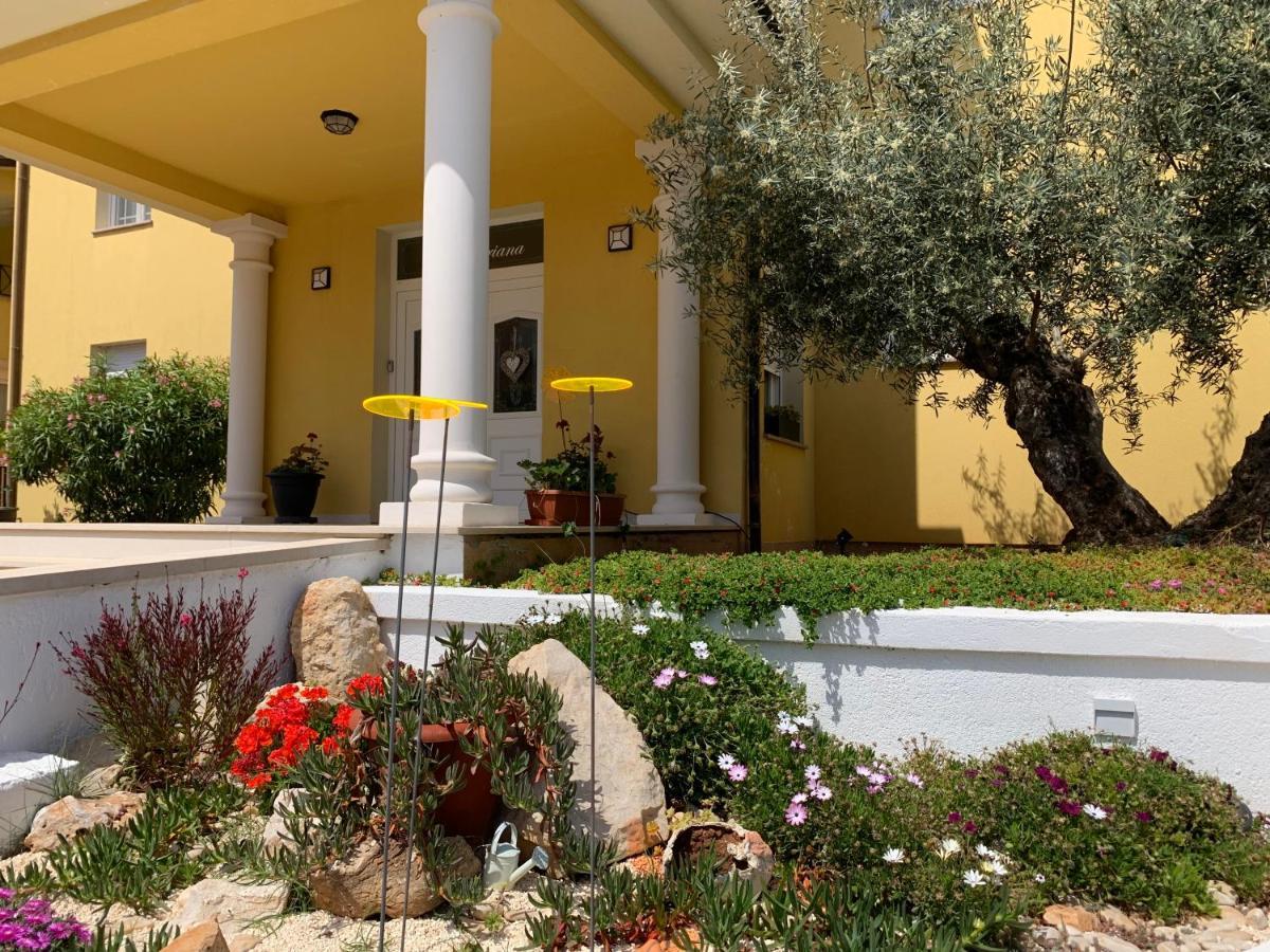 Villa Istriana Ližnjan المظهر الخارجي الصورة