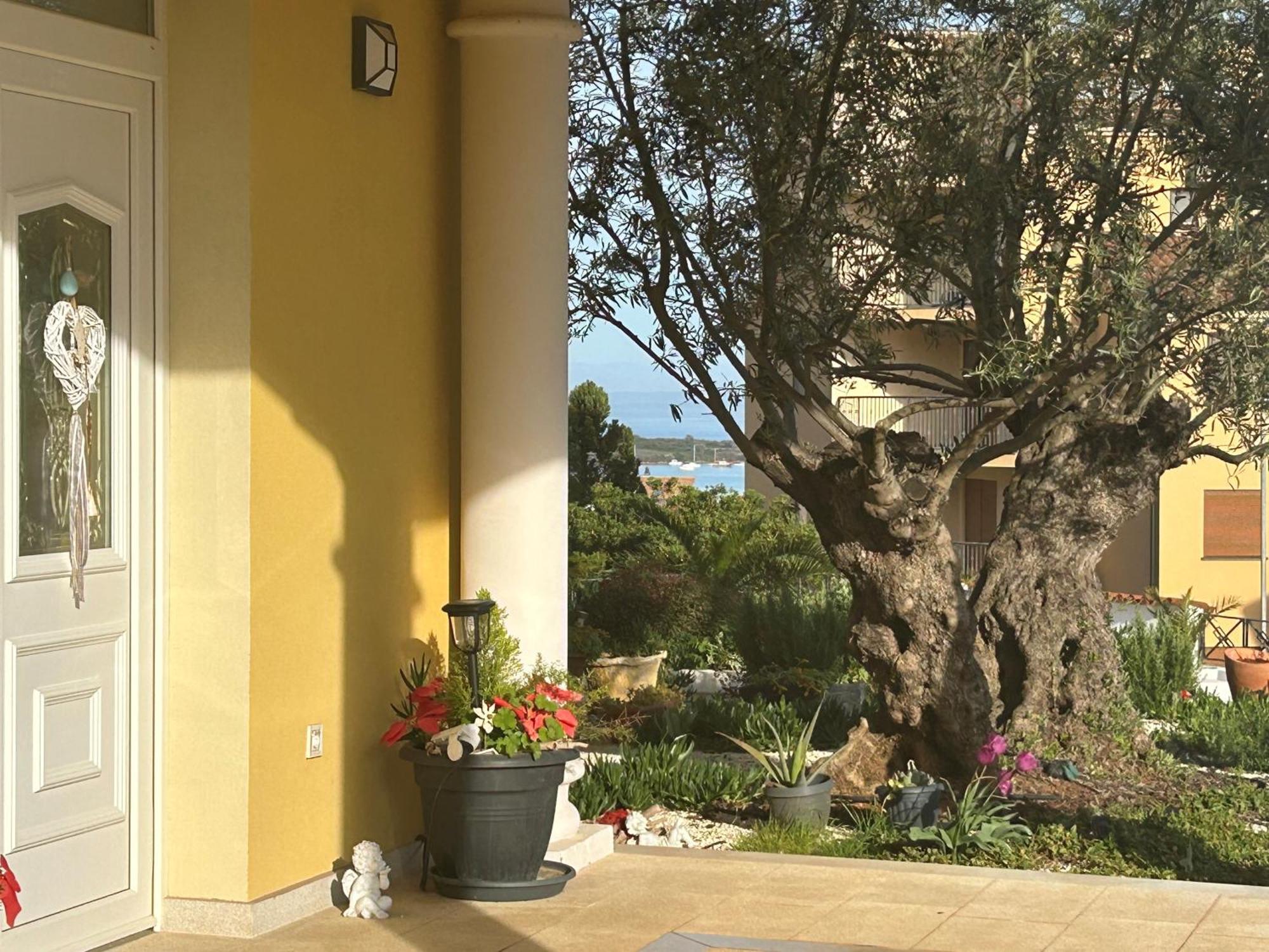 Villa Istriana Ližnjan المظهر الخارجي الصورة